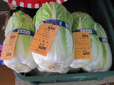 白菜50円　②.jpg